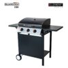 BBQ3000