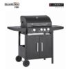 BBQ3100