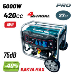 BGB6000