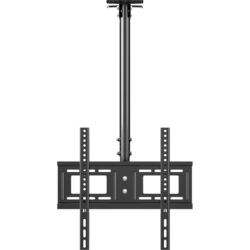 070733
