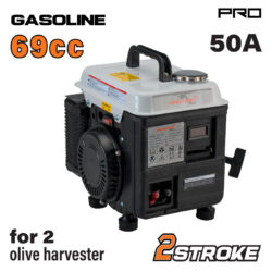 GB1310